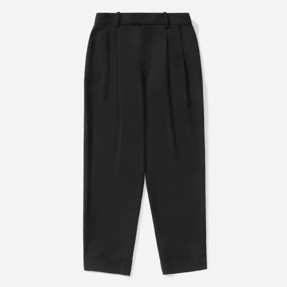 Everlane Put Together Pleat Pant